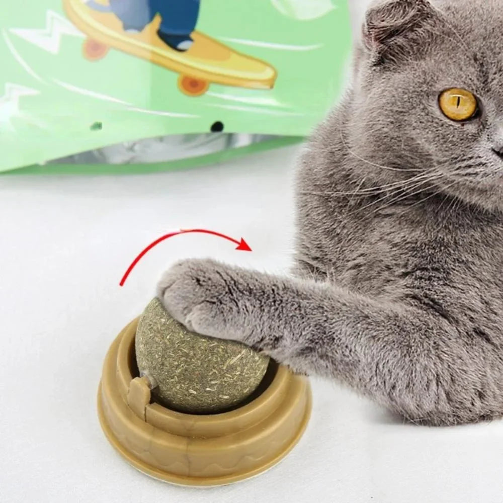 Catnip Toy Balls - Interactive Licking Snack with Molar Teeth Benefits for Cats