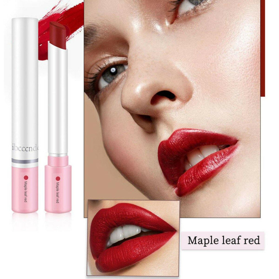 4pcs/Set Lipstick Kit Matte Velvet long-lasting Pipe Lipstick Makeup