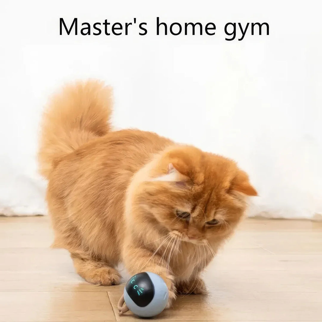 Interactive Cat Toy: Smart Moving Bouncing Ball for Indoor Cats