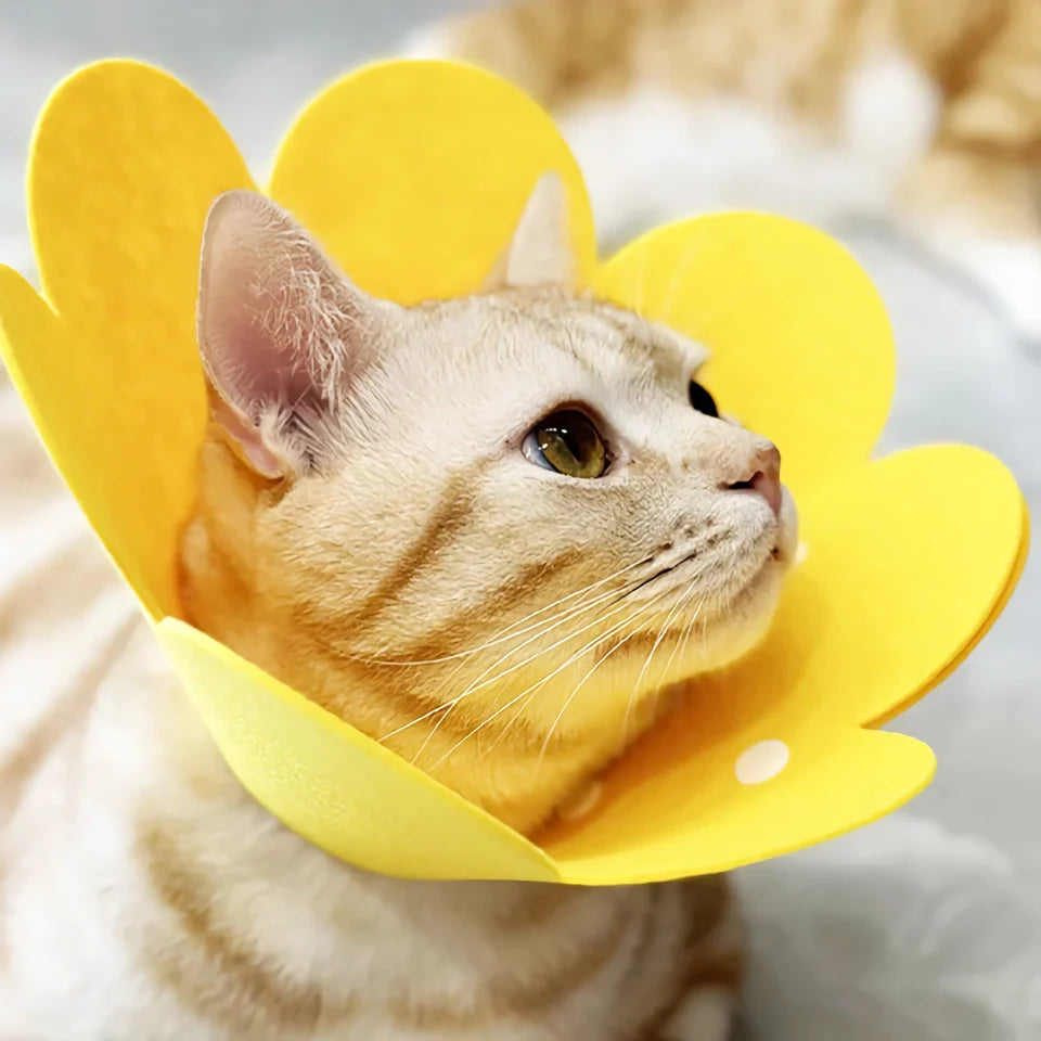 Yellow Flower Shaped Pet Protective Anti-Bite Lick Neck Collar