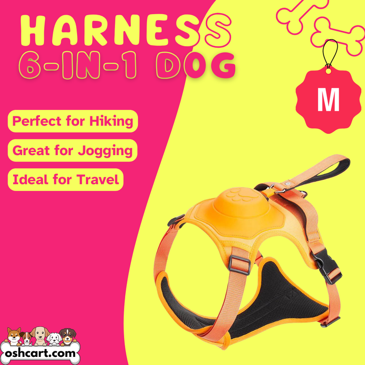 Zylo 6-In-1 Dog Harness