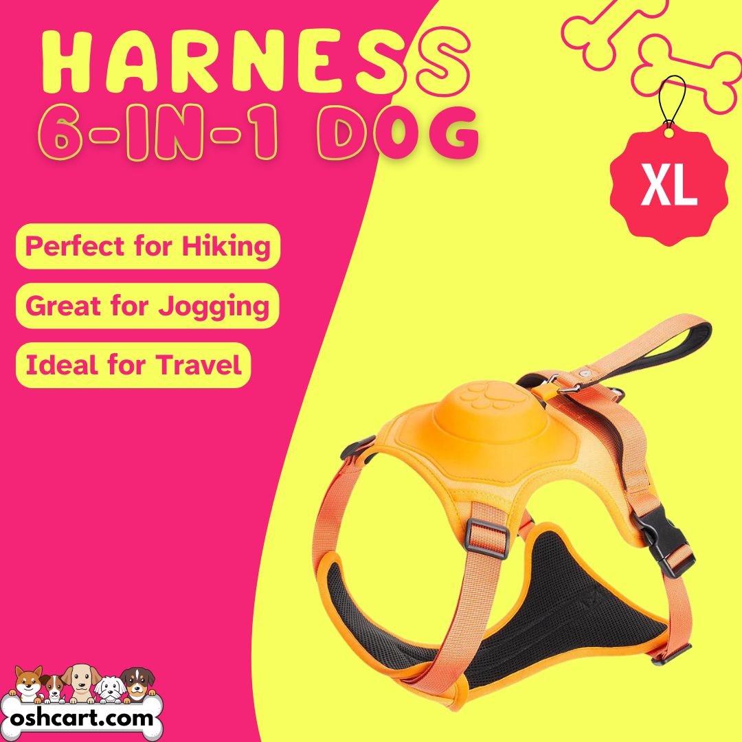 Zylo 6-In-1 Dog Harness