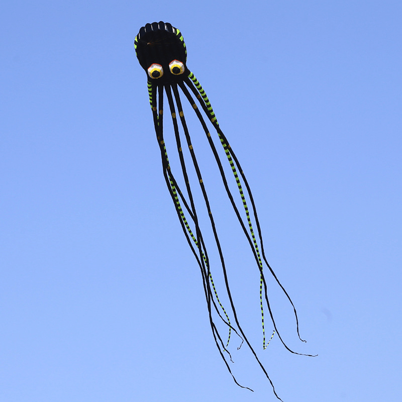 3D Three-Dimensional Software Large Octopus Kite