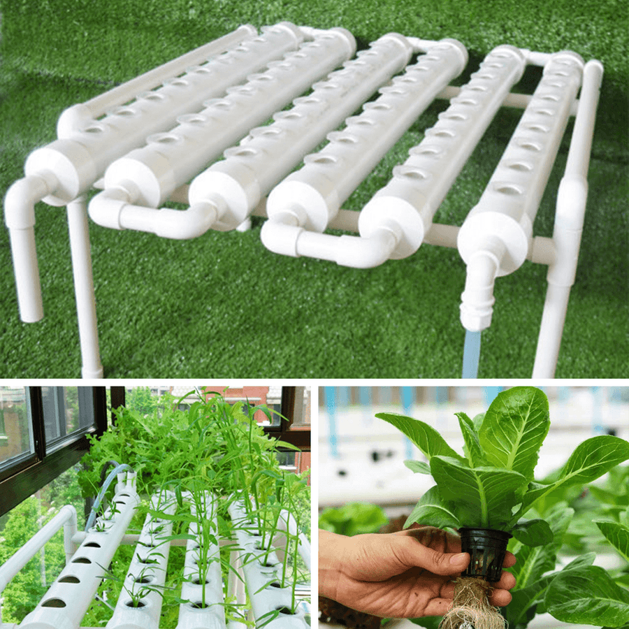 110-220V 54 Holes Hydroponic Piping Site Grow Kit Deep Water Culture Planting Box Gardening System Nursery Pot Hydroponic Rack - MRSLM