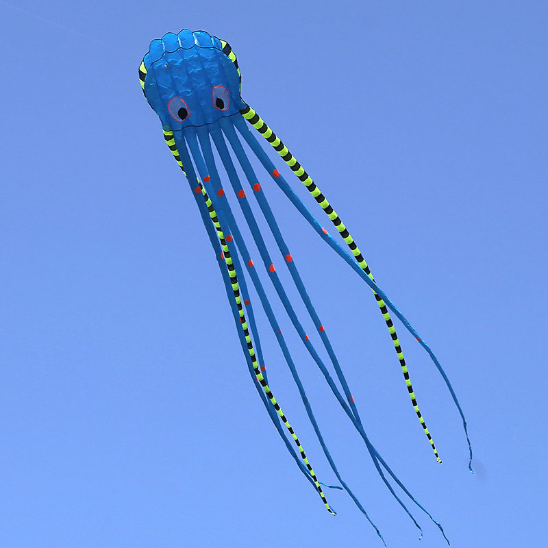 3D Three-Dimensional Software Large Octopus Kite