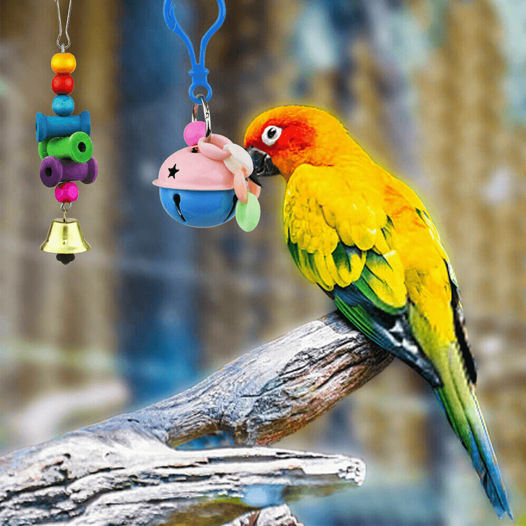 10 PCS Parrot Hanging Swing Bird Toy Harness Cage Ladder Parakeet Cockatiel Budgie Pet Supplies