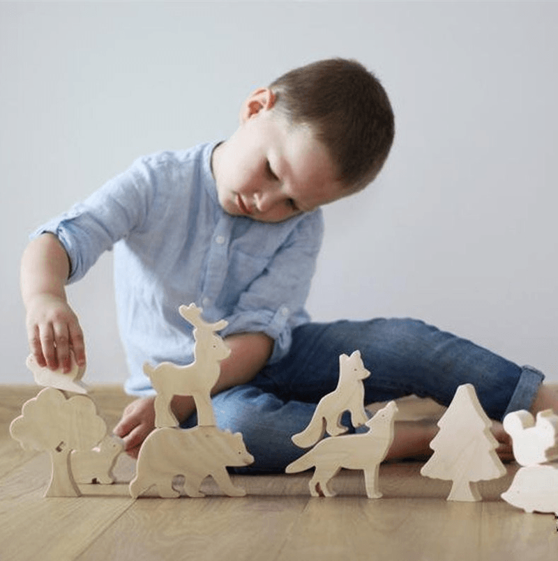 Wooden Scientific and Educational Toys for Children