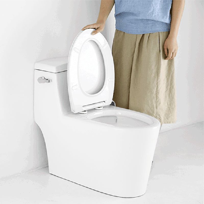 WHALE SPOUT Bathroom Electric Heated Toilet Seat Covers IPX4 Waterproof Mute Descending Toilet