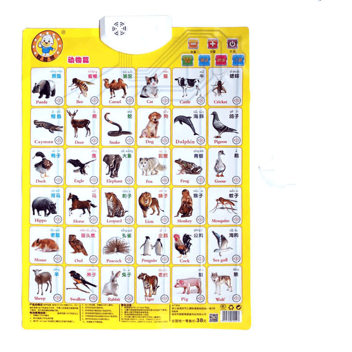 Baby Audio Wall Chart, Point to Read Pronunciation Toys