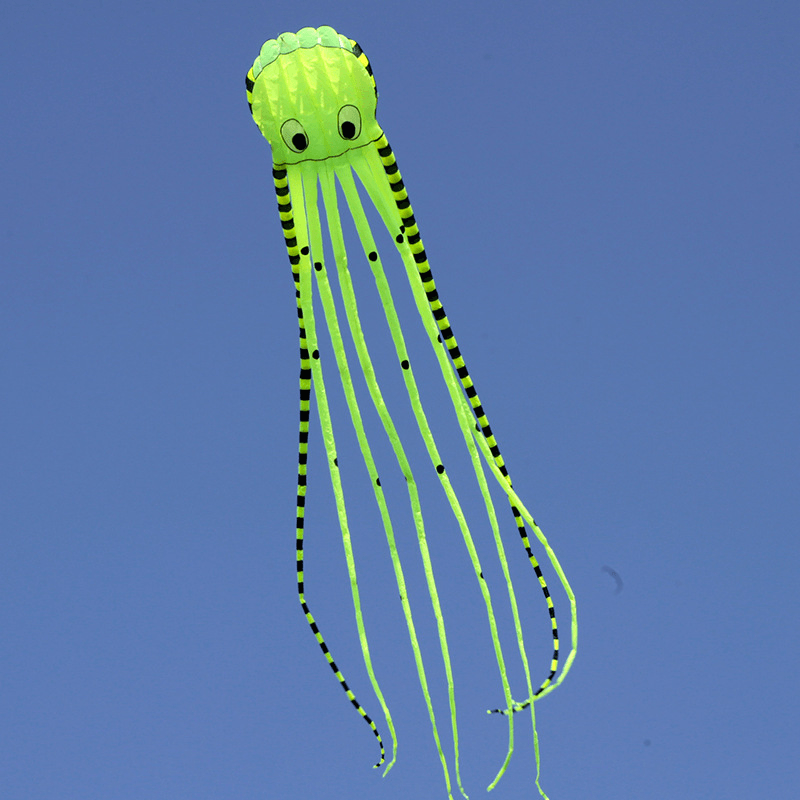 3D Three-Dimensional Software Large Octopus Kite