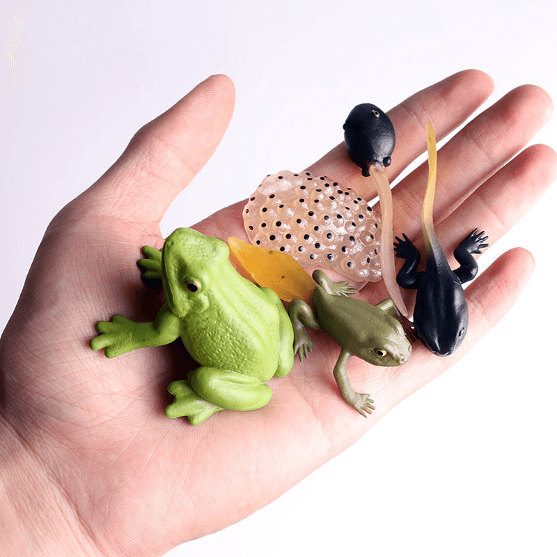 Simulation Animal Model Mini Frog Toy