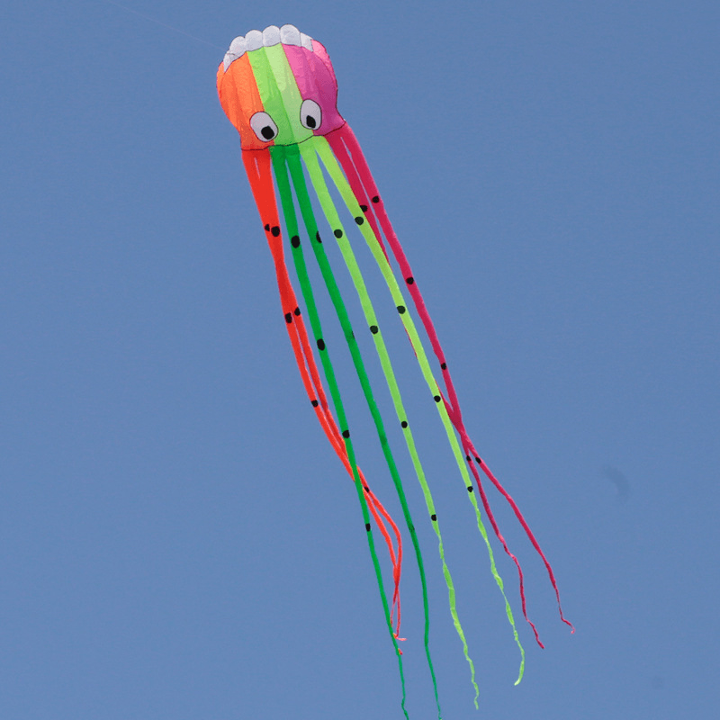 3D Three-Dimensional Software Large Octopus Kite