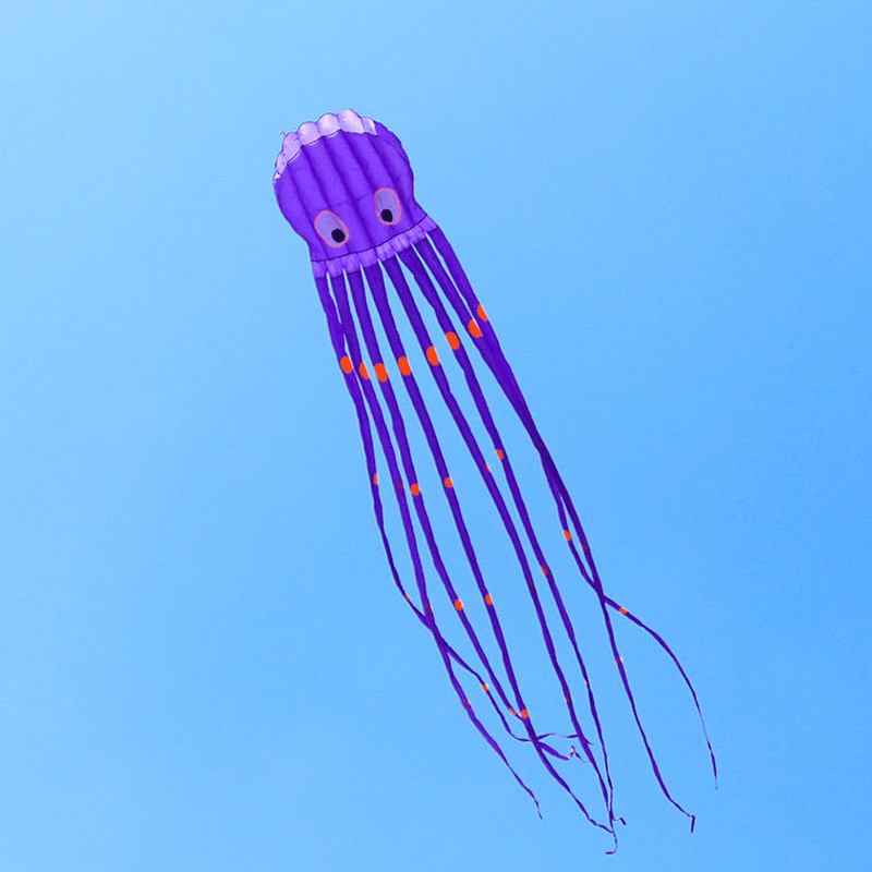 3D Three-Dimensional Software Large Octopus Kite