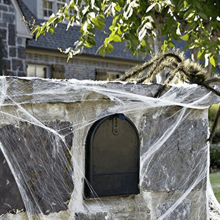 250G Spider Web with 48Pcs Small Spiders Halloween Outdoor Party Decorations Props Supplies