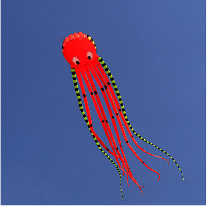 3D Three-Dimensional Software Large Octopus Kite