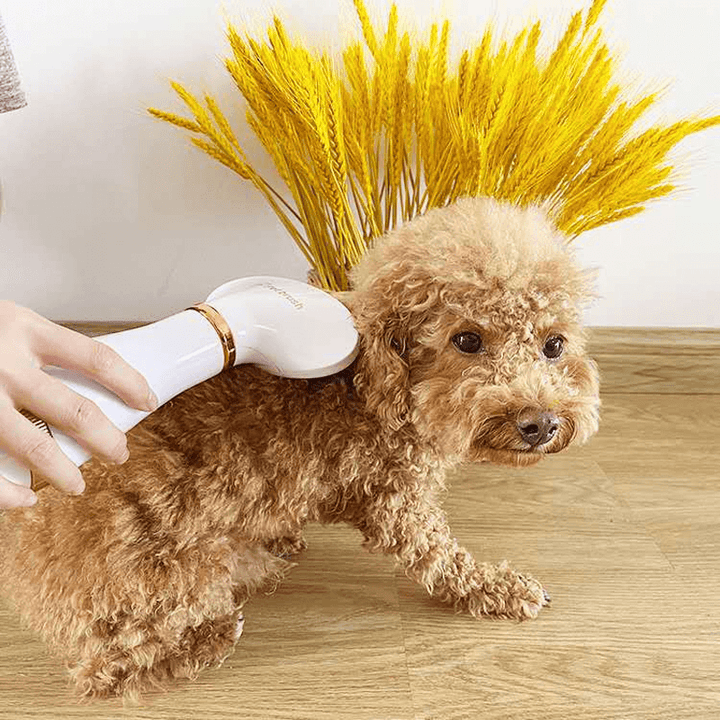 2 in 1 Dog Cat Pet Hair Dryer Comb Speed and Temperatures Adjustable with Low Noise Grooming Fur Blower Brush Household