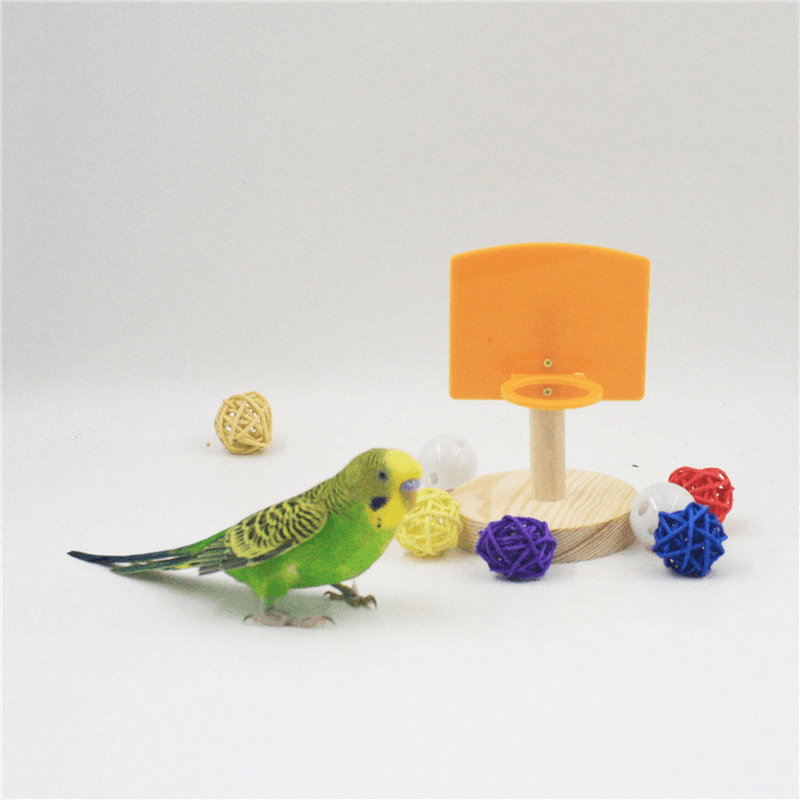 Parrot Puzzle Training Shooting Toy Wisdom Mini Basket Bird Shooting Basketball Stand