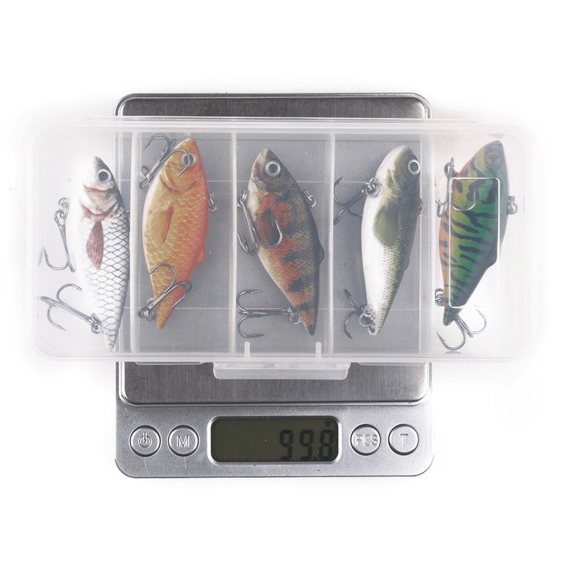 5 Pcs Fishing Lures 6.5Cm 100G Artificial Hard Bait 3D Eyes Fishing Tackle with Storage Box