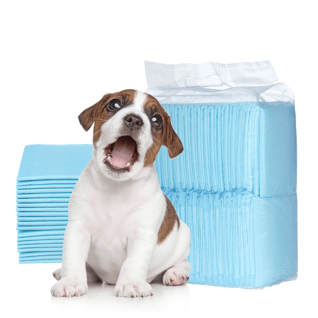 100/50/40/20 Pet Diapers Deodorant Thickening Absorbent Diapers Disposable Training Urine Pad Dog Diapers