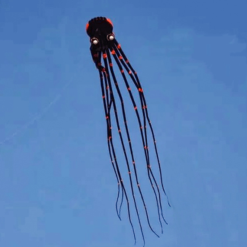 3D Three-Dimensional Software Large Octopus Kite