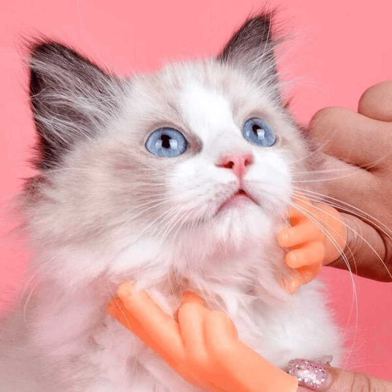 Vibrato with the Same Net Celebrity Finger Sets to Tease Cats and Cat Toys