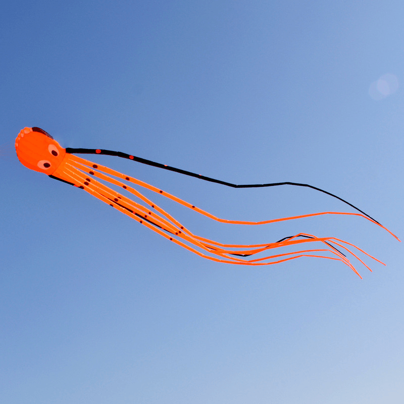 3D Three-Dimensional Software Large Octopus Kite