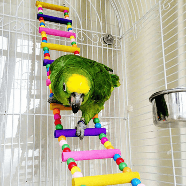 10 PCS Parrot Hanging Swing Bird Toy Harness Cage Ladder Parakeet Cockatiel Budgie Pet Supplies