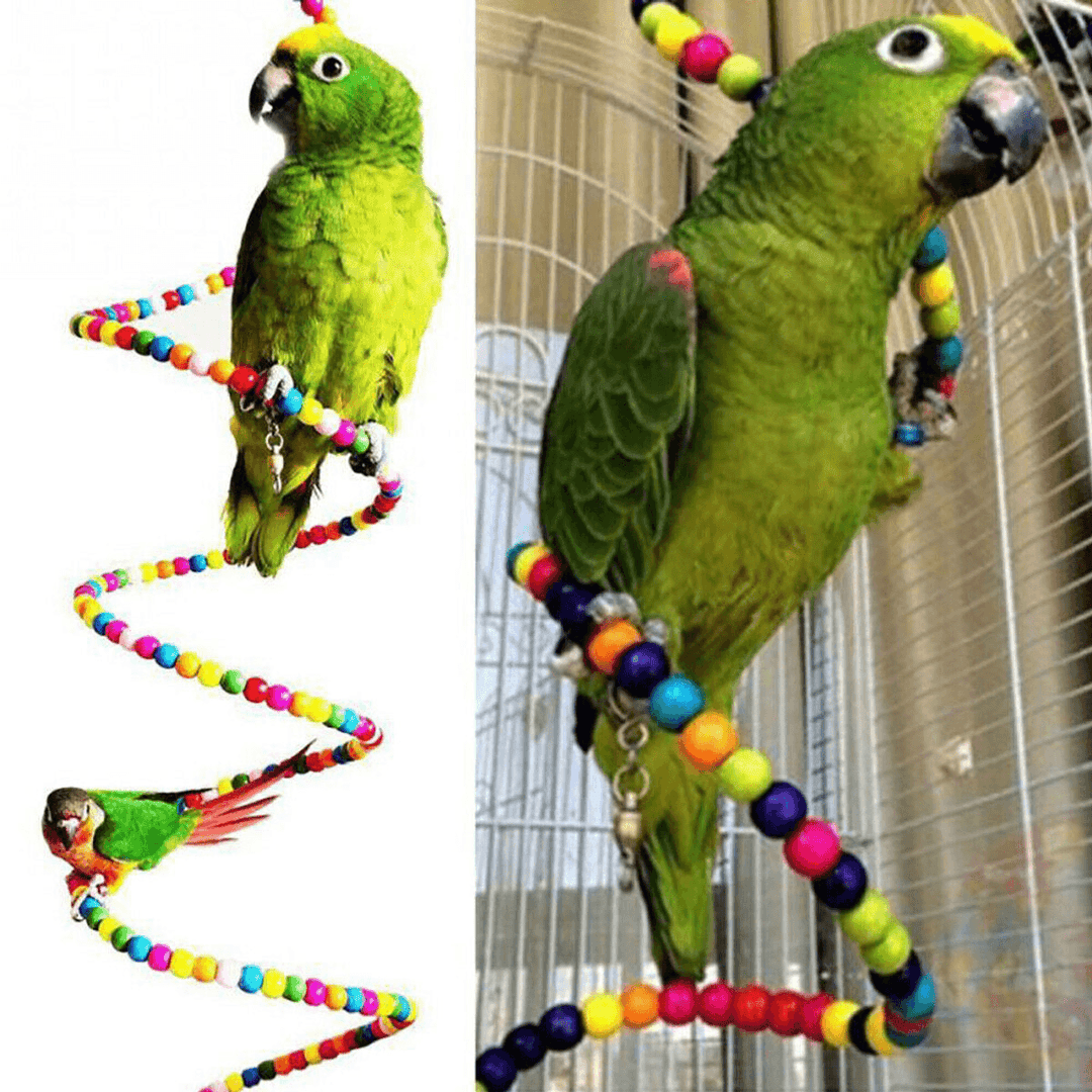 10 PCS Parrot Hanging Swing Bird Toy Harness Cage Ladder Parakeet Cockatiel Budgie Pet Supplies