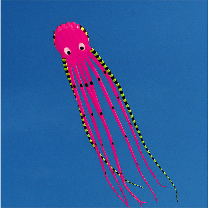 3D Three-Dimensional Software Large Octopus Kite