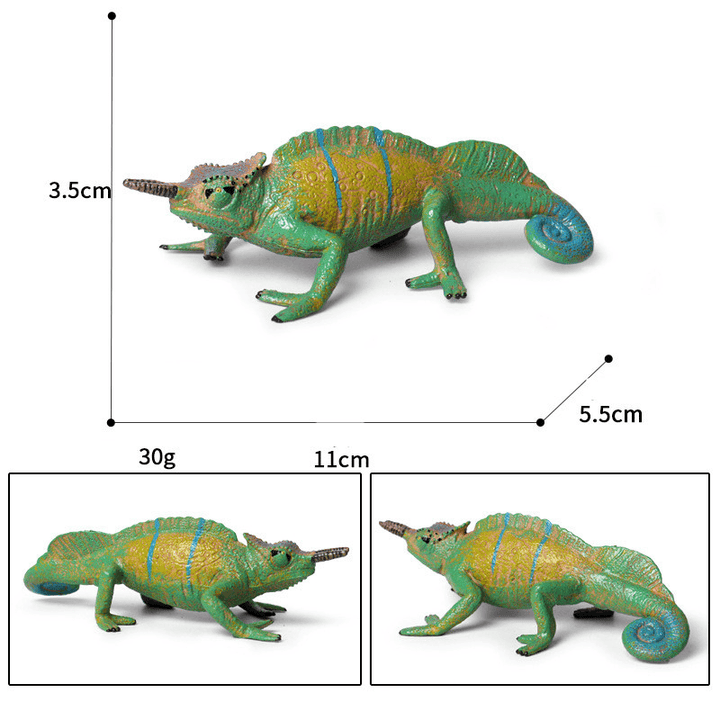 Children'S Cognitive Amphibian Solid Model Decoration