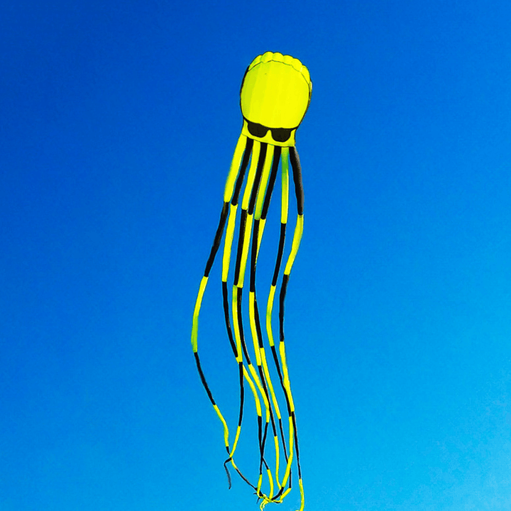 3D Three-Dimensional Software Large Octopus Kite