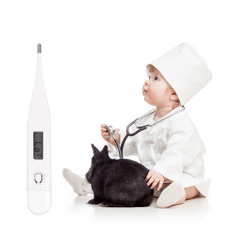 Digital LCD Electronic Thermometer ¬∞C / ¬∞F Baby Boy Girl Body Temperature Checking Safe Oral Digital Thermometers Kids Health Care Tool