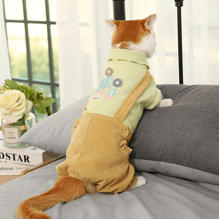 Warm and Cute Autumn and Winter Clothes for Pets