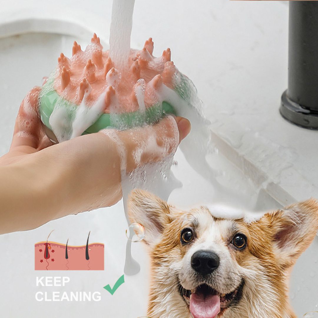 Zylo 2-in-1 Pet Bathing & Grooming Brush