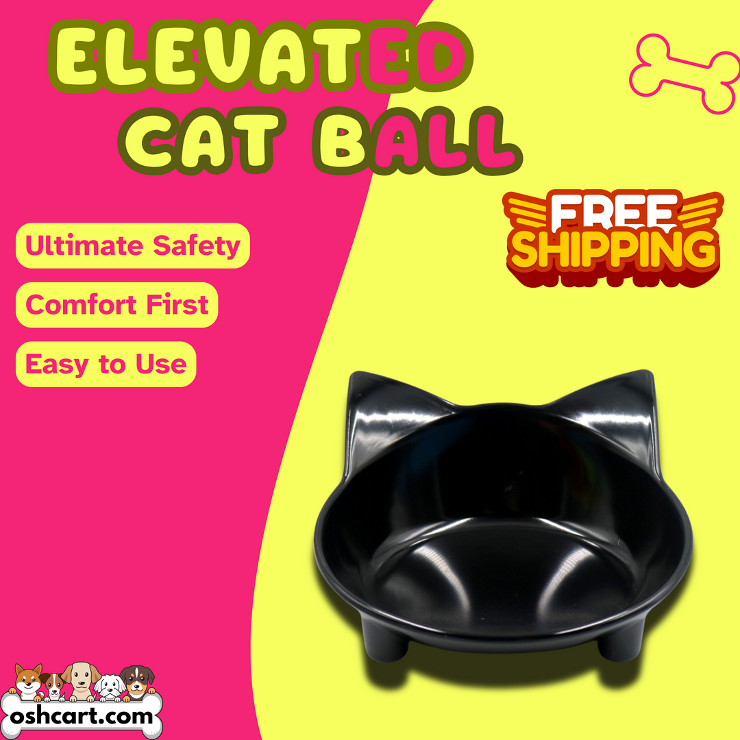 Zylo Elevated Cat Bowl