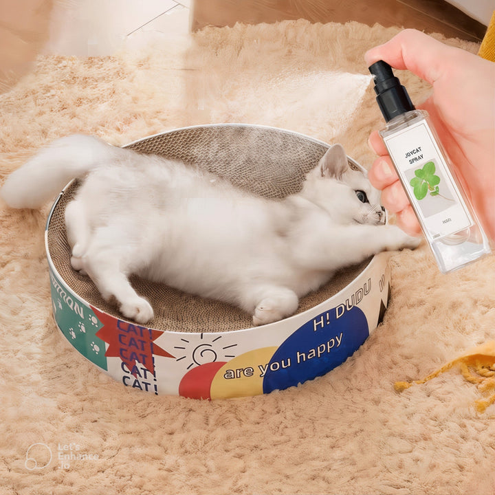 Boost Energy & Calm Your Cat