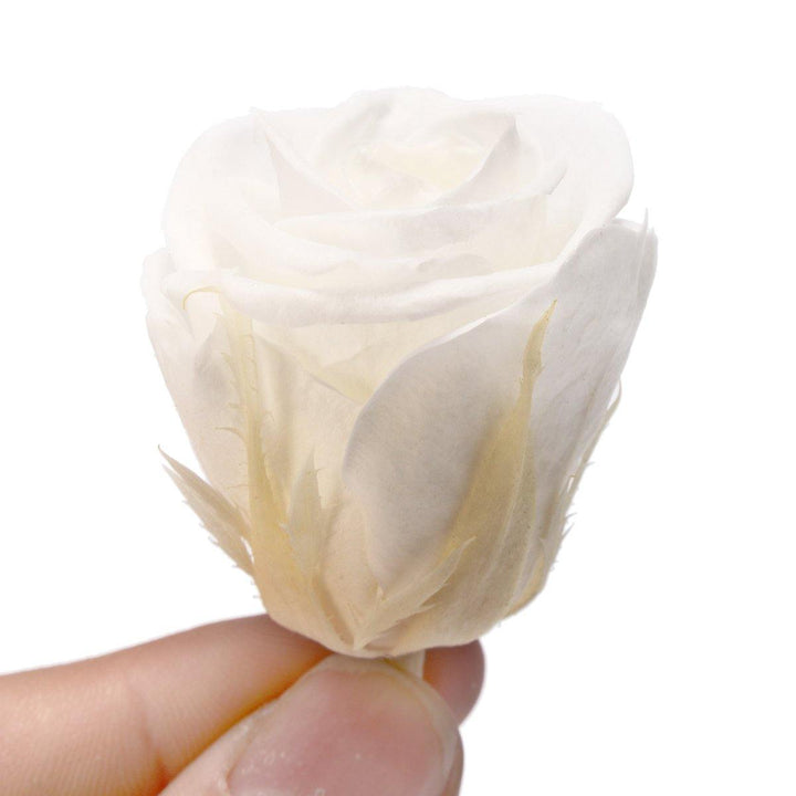 12pcs Romantic Preserved Forever Rose Flowers 3-4cm Wedding Valentine's Day Decorations