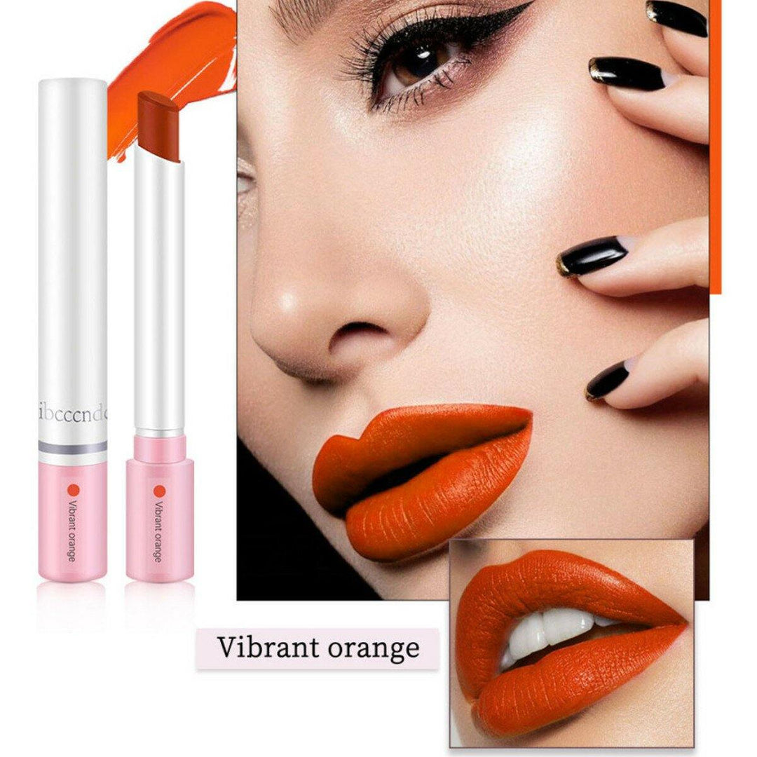 4pcs/Set Lipstick Kit Matte Velvet long-lasting Pipe Lipstick Makeup