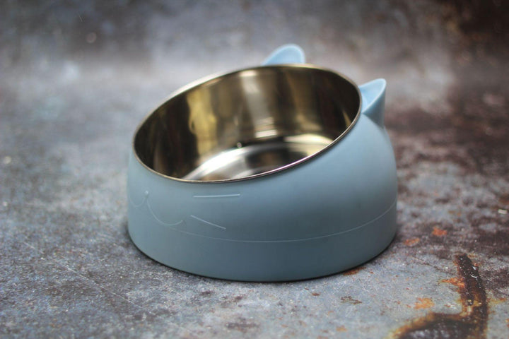 Protective Cervical Cat Bowl Oblique Mouth Pet Bowl - MRSLM