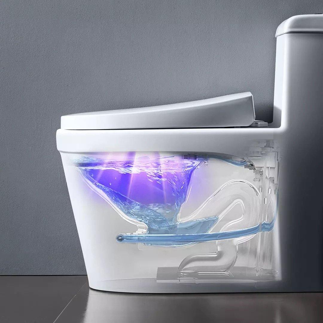 Intelligent Disinfection and Deodorization Toilet Ultraviolet Sterilizer (White)