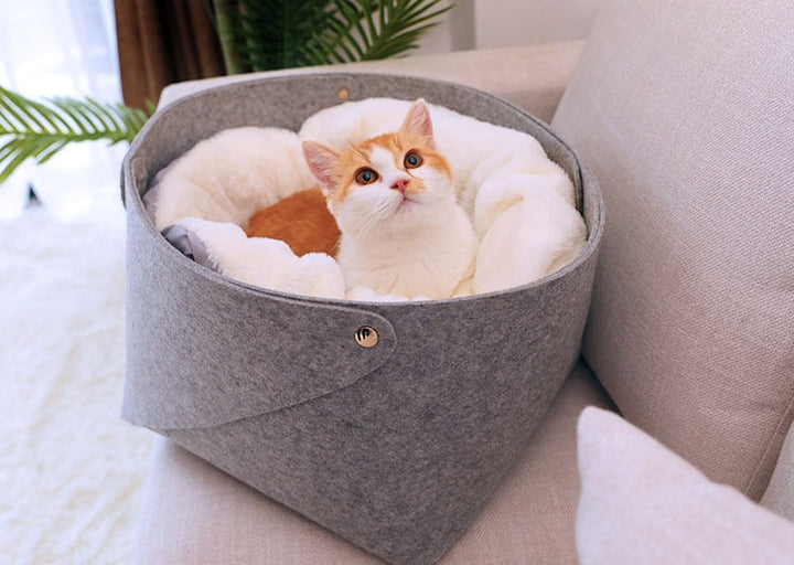 Zylo Deluxe Cat House