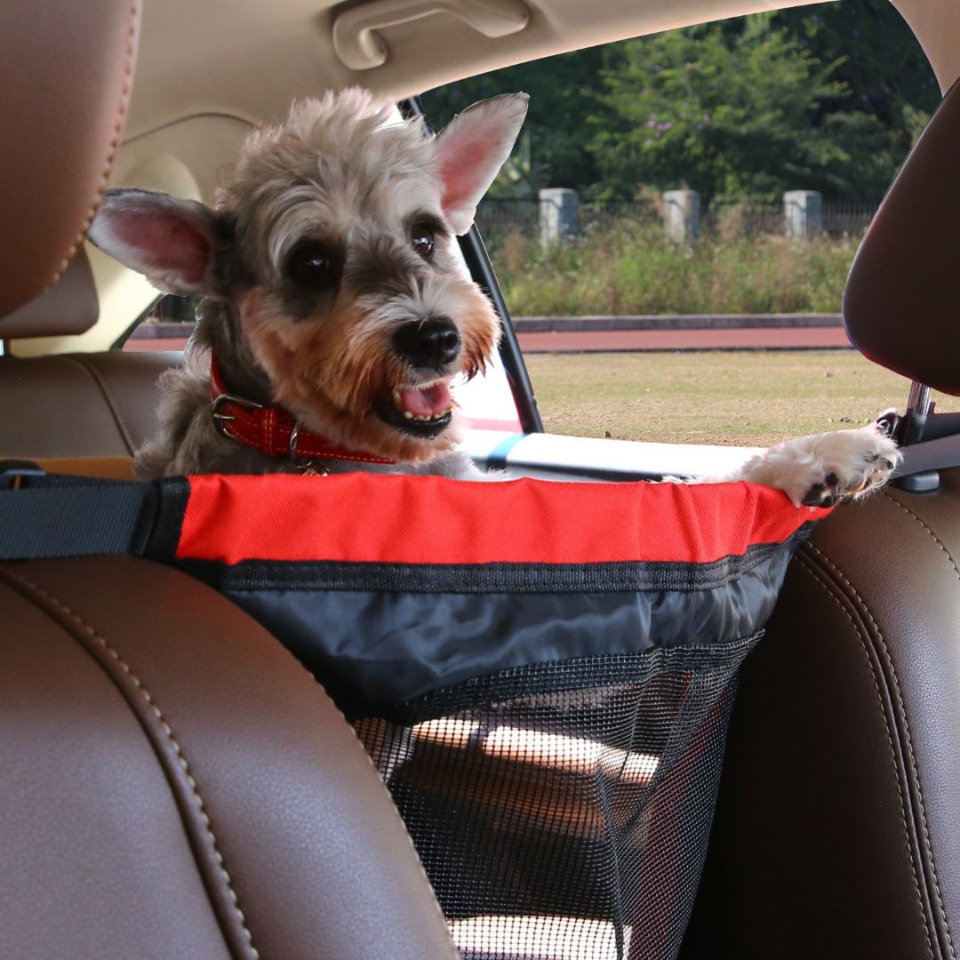 Zylo Car Pets Back Seat Guardrail Secure