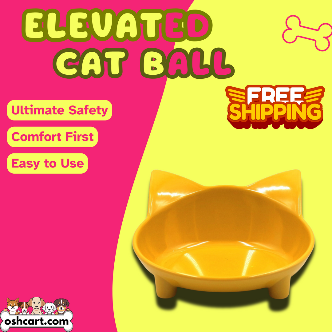 Zylo Elevated Cat Bowl