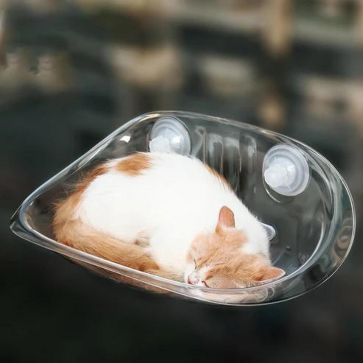 Zylo Transparent Cat Basket - Perfect Perch for Cats