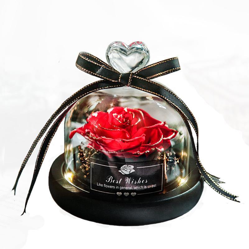 Dried Flowers The Beauty And Beast Eternal Real Rose Home Decor With LED in Glass