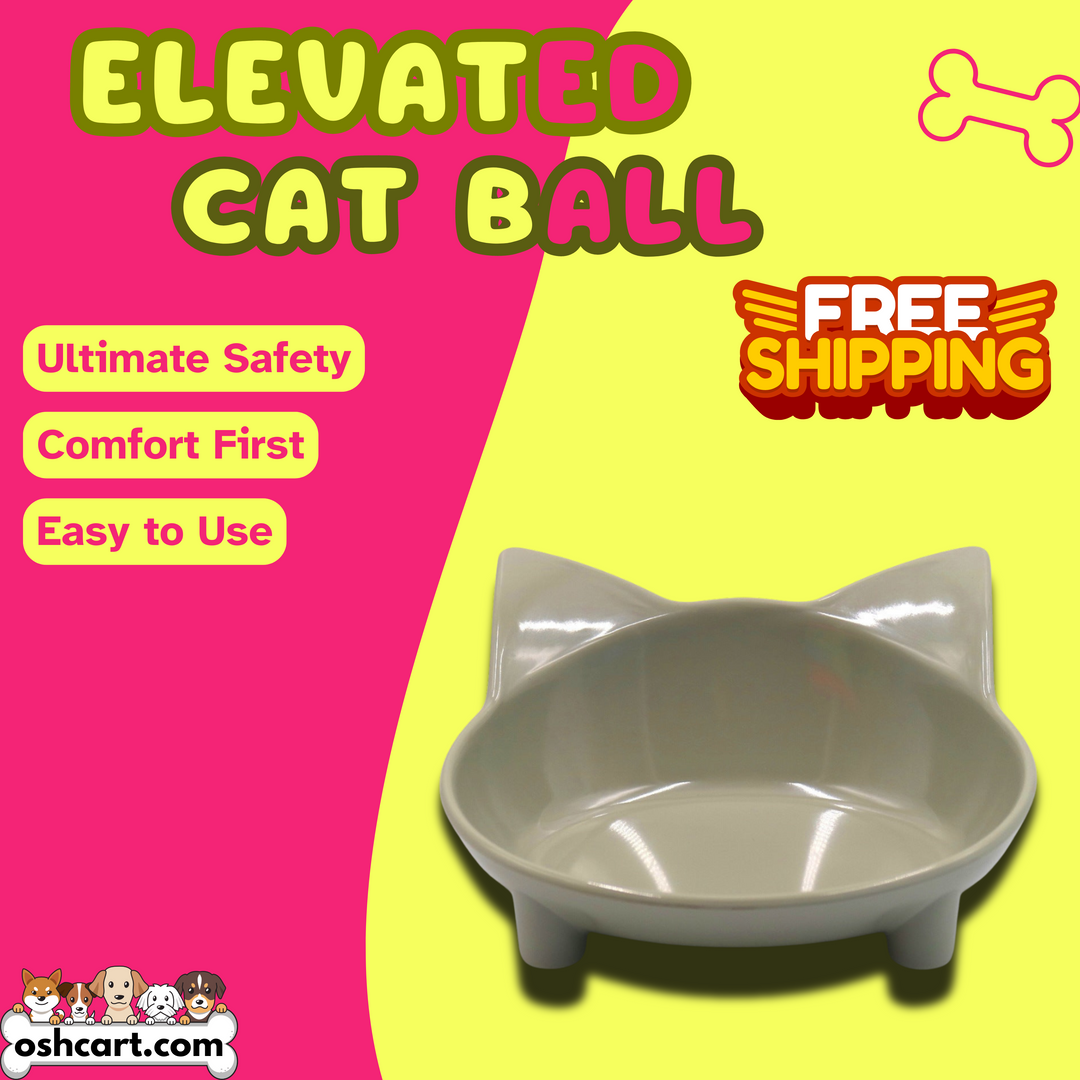 Zylo Elevated Cat Bowl