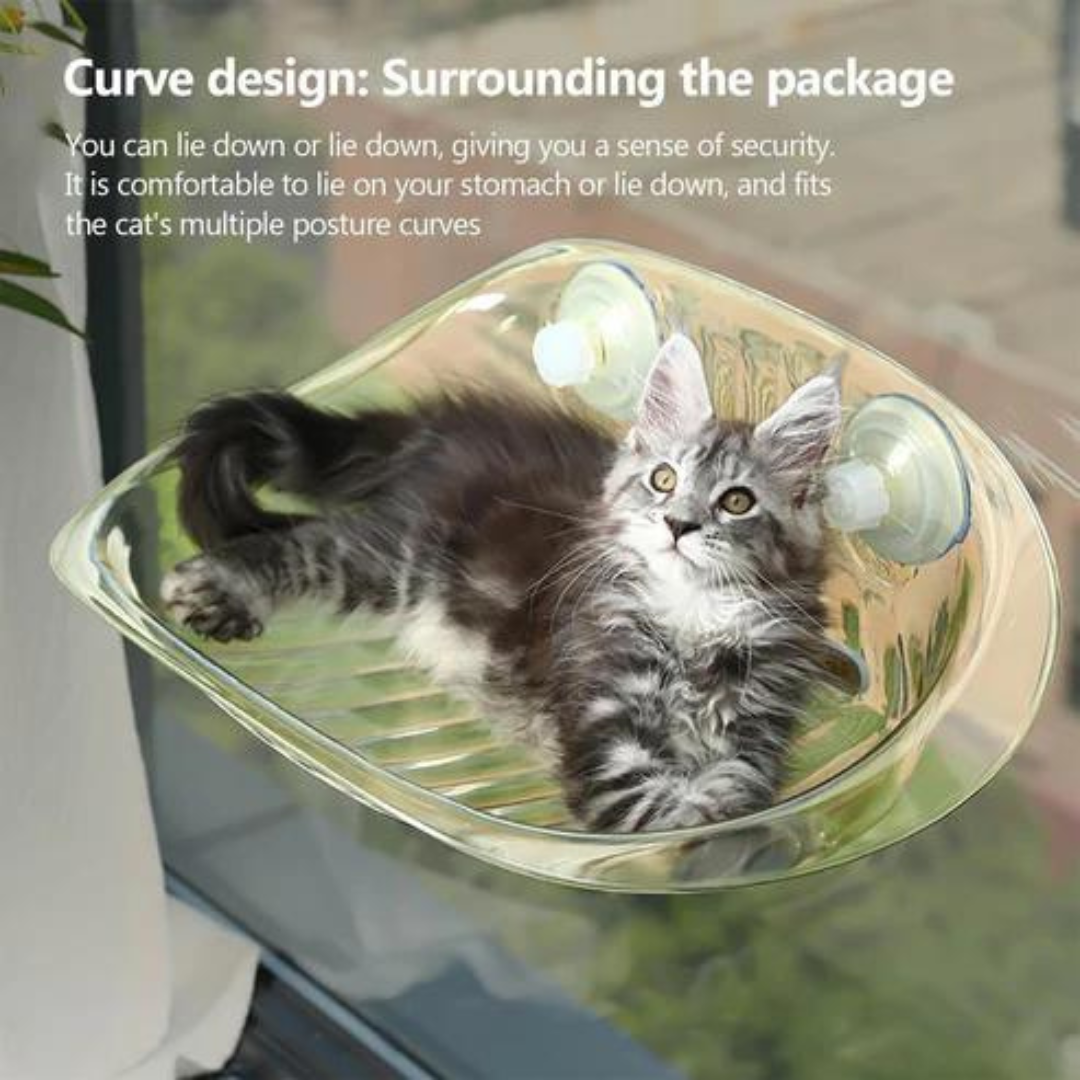 Zylo Transparent Cat Basket - Perfect Perch for Cats