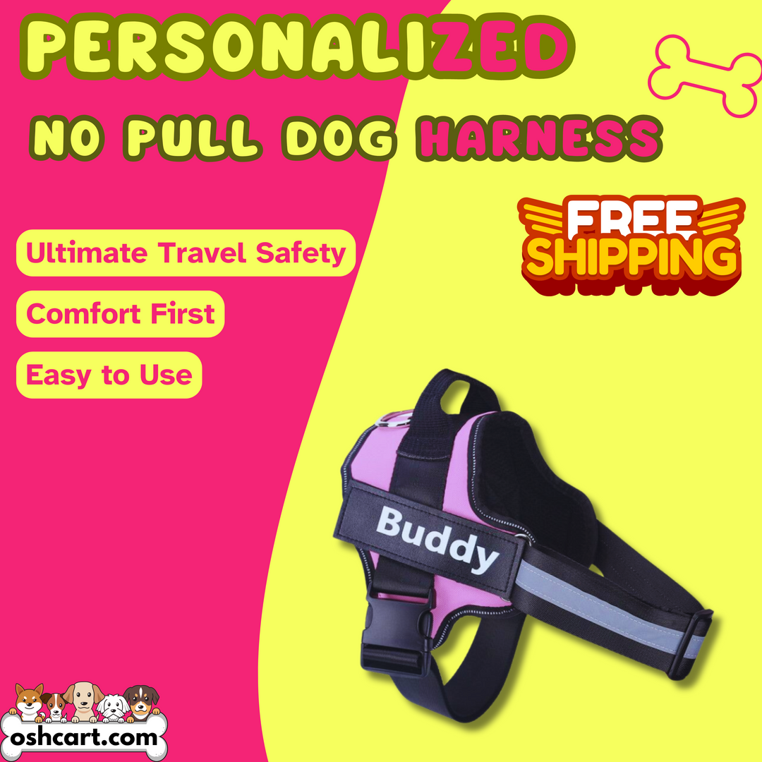 Zylo Personalized Dog Harness