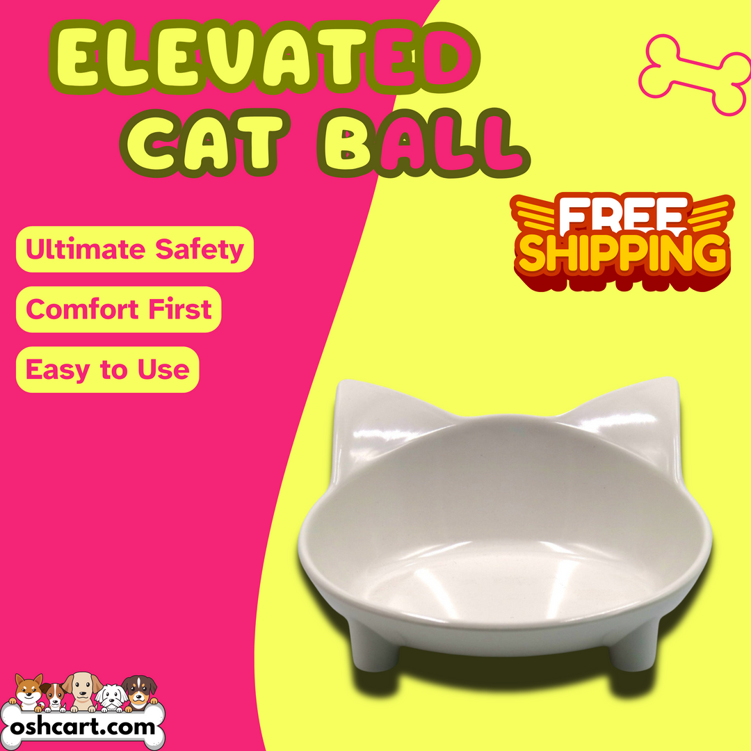 Zylo Elevated Cat Bowl