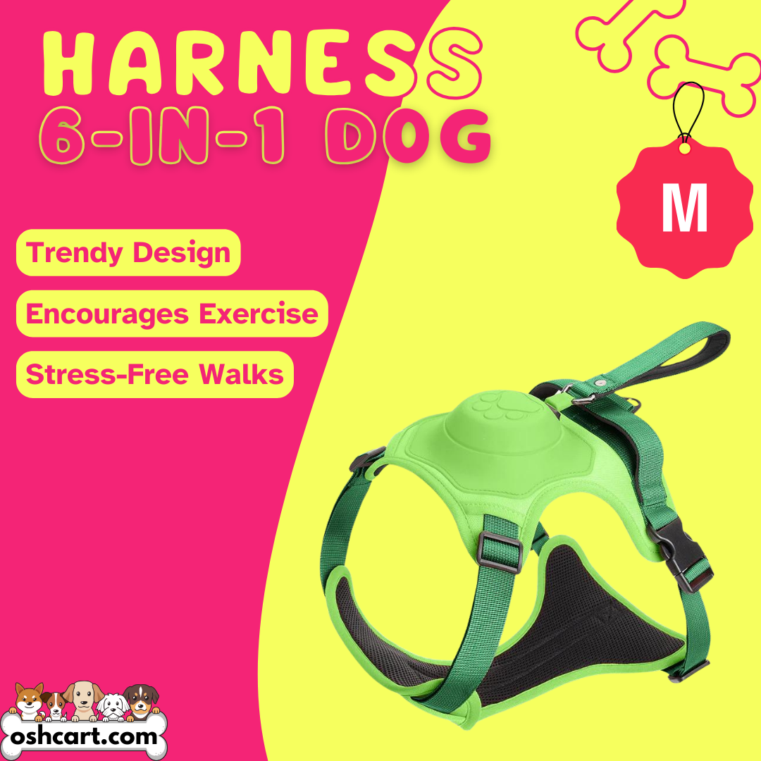 Zylo 6-In-1 Dog Harness